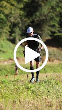 BIB:  <button type="button" onclick="openModal(26565714)" class="btn btn-primary btn-sm float-right" data-toggle="modal" data-target=".modal-high-quality">
                <i class="fa fa-download"></i> Download
                </button>